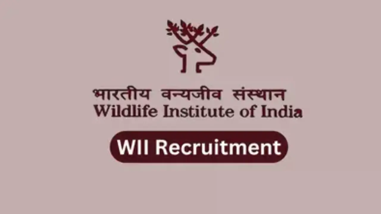 Wildlife Institute Project Associate 8 Recruitments